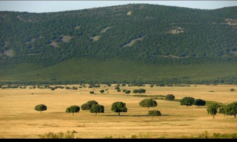Holiday home Esuri 300m Con 1000m Parcela Privada A 8min De Puy Du Fou *